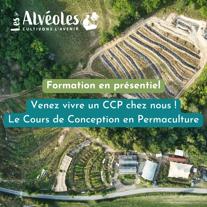 Le CCP aux alvéoles est une formation de 12 jours - 72 h (*dont une journée de pause) durant laquelle vous visiterez concrètement l'ensemble des fondamentaux de la permaculture. Ces formations ont lieu sur notre beau terrain d'expérimentation, situé dans la Biovallée de la Drôme.