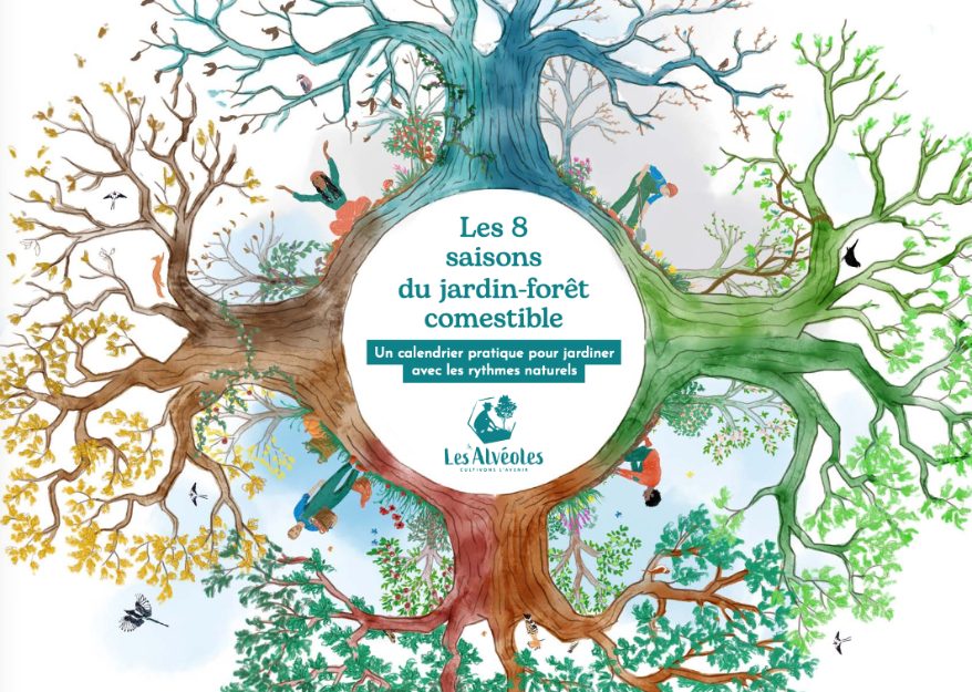 Le calendrier des 8 saisons du jardin-forêt comestible, offert par Les Alvéoles