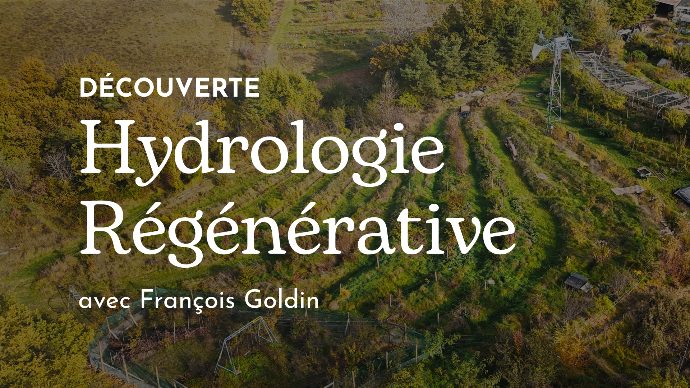 Découverte du potager permacole – Les Alvéoles