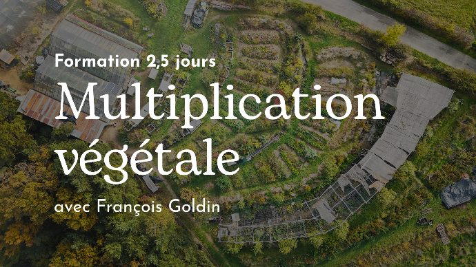 Formation Multiplication végétale