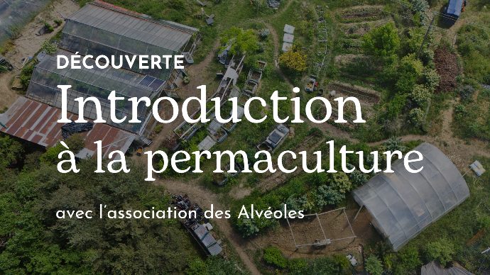 Découvrir – Les Alvéoles