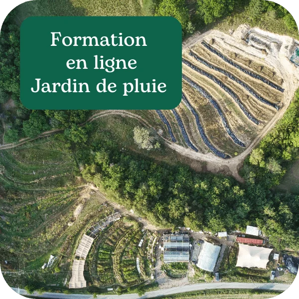 Formation en ligne&nbsp; Cultiver&nbsp;l'eau dans son jardin de pluie &nbsp; – Les Alvéoles