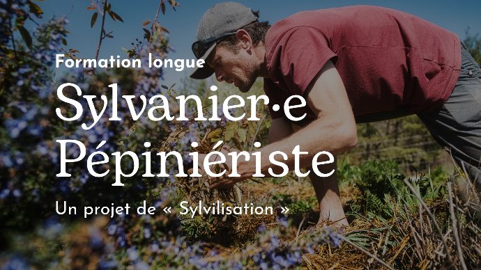 Sylvanier·e pépiniériste