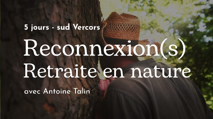 Initiation jardin-forêt – Les Alvéoles