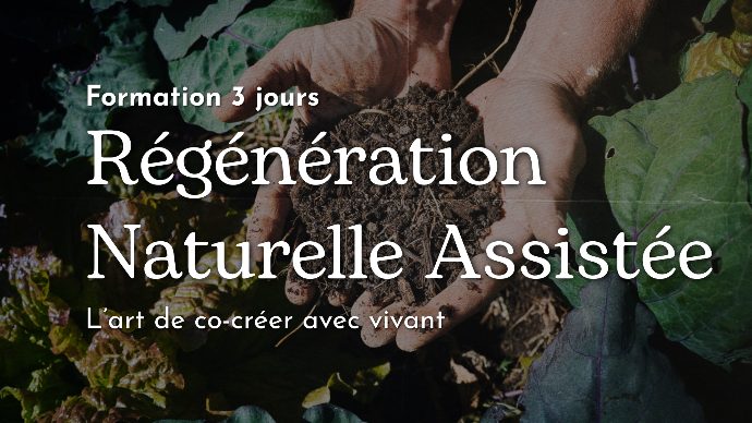 Formation Régénération Naturelle Assistée