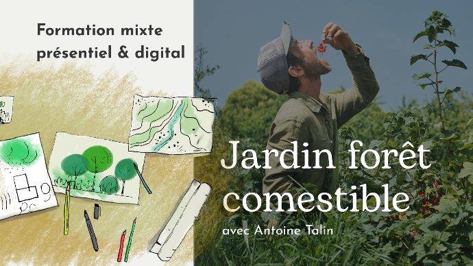 CCP hors les murs – Les Alvéoles