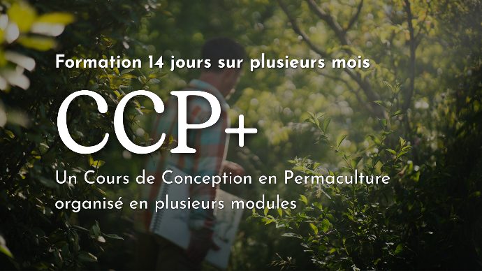 Formation CCP+ en modules