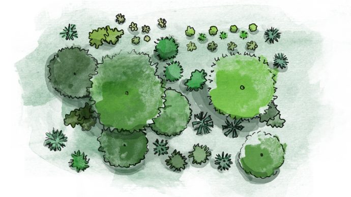 Cours en ligne : potager en permaculture – Les Alvéoles