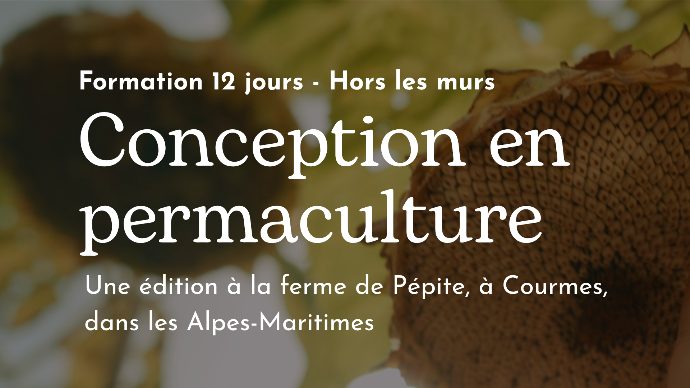 Formation CCP hors les murs
