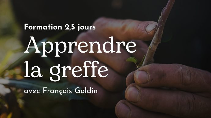 Formation Greffe végétale