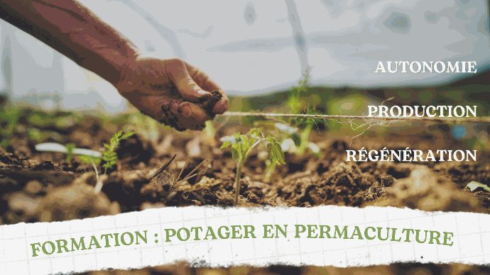 Mon potager en permaculture – Les Alvéoles