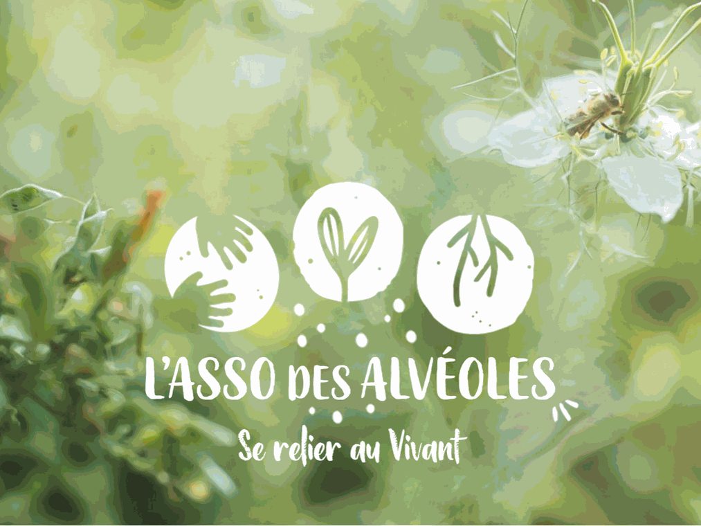 Visite estivale de la pépinière des Alvéoles