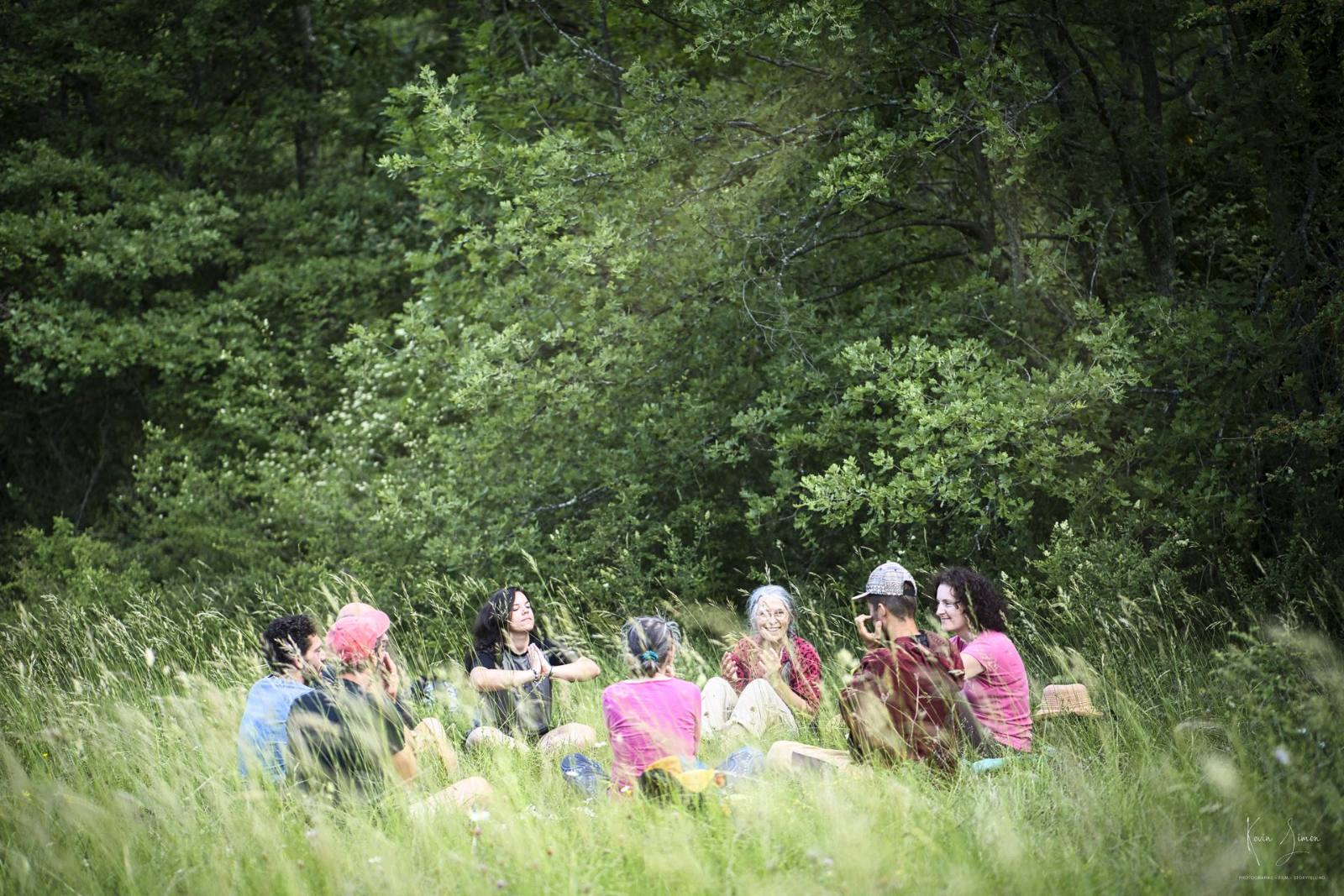 Groupe assis dans l'herbe à l'ombre de la forêt