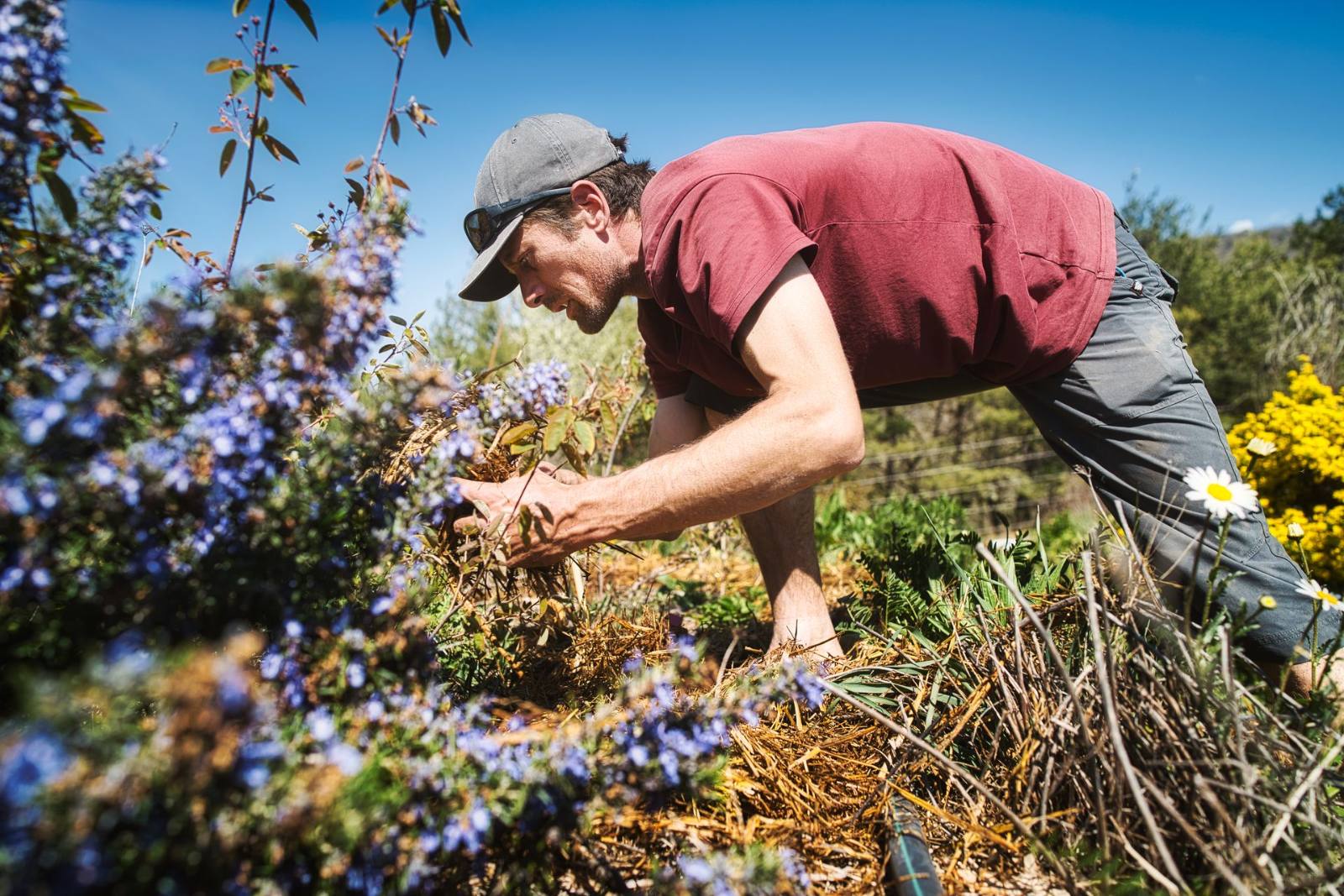 Our nurseryman at work