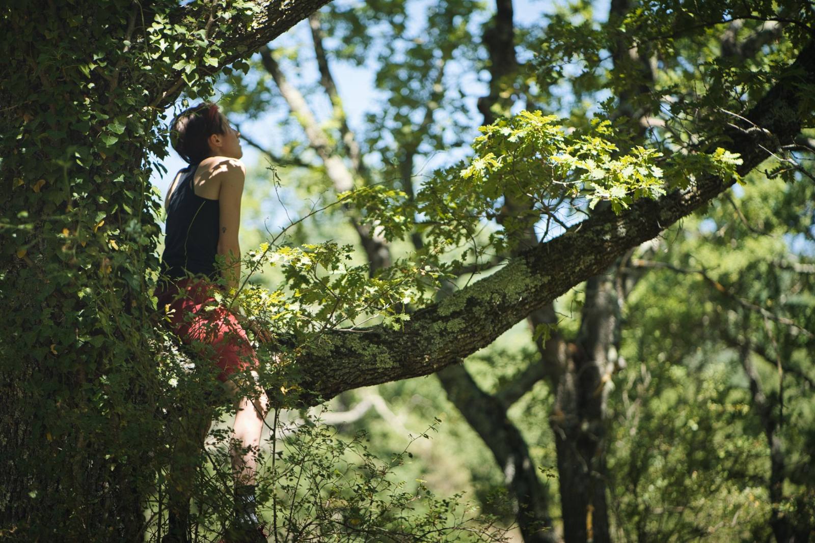 Participant grimpé dans un grand arbre