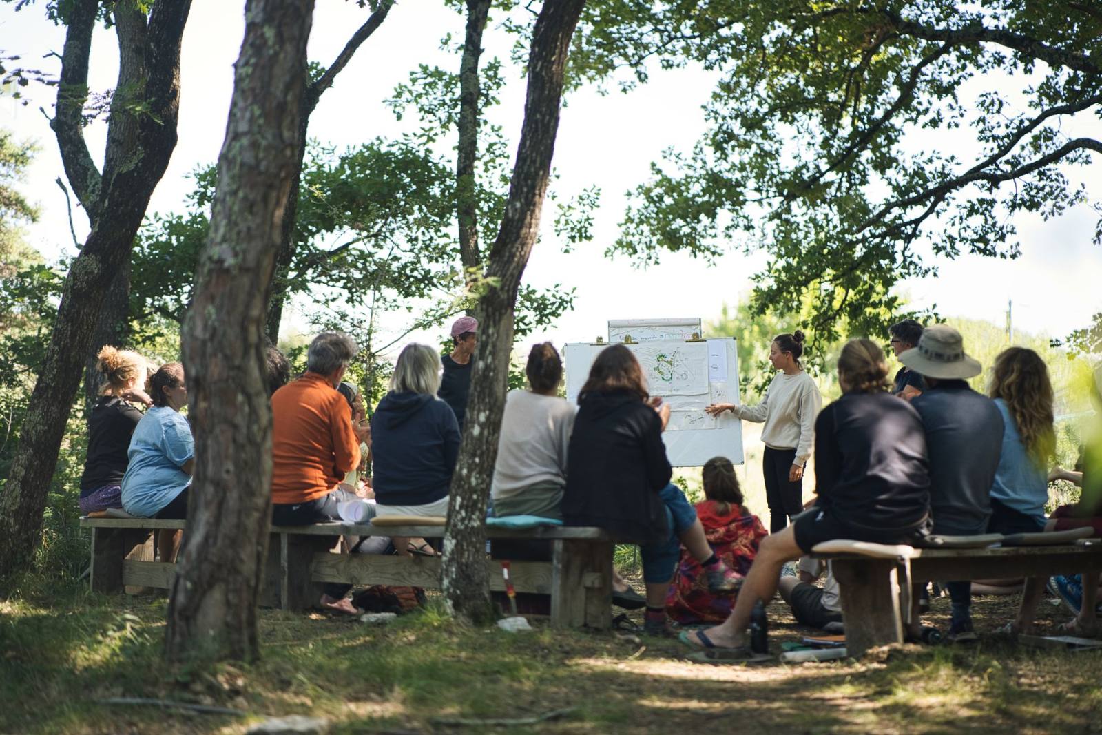 Cours en plein air à l'ombre des arbres