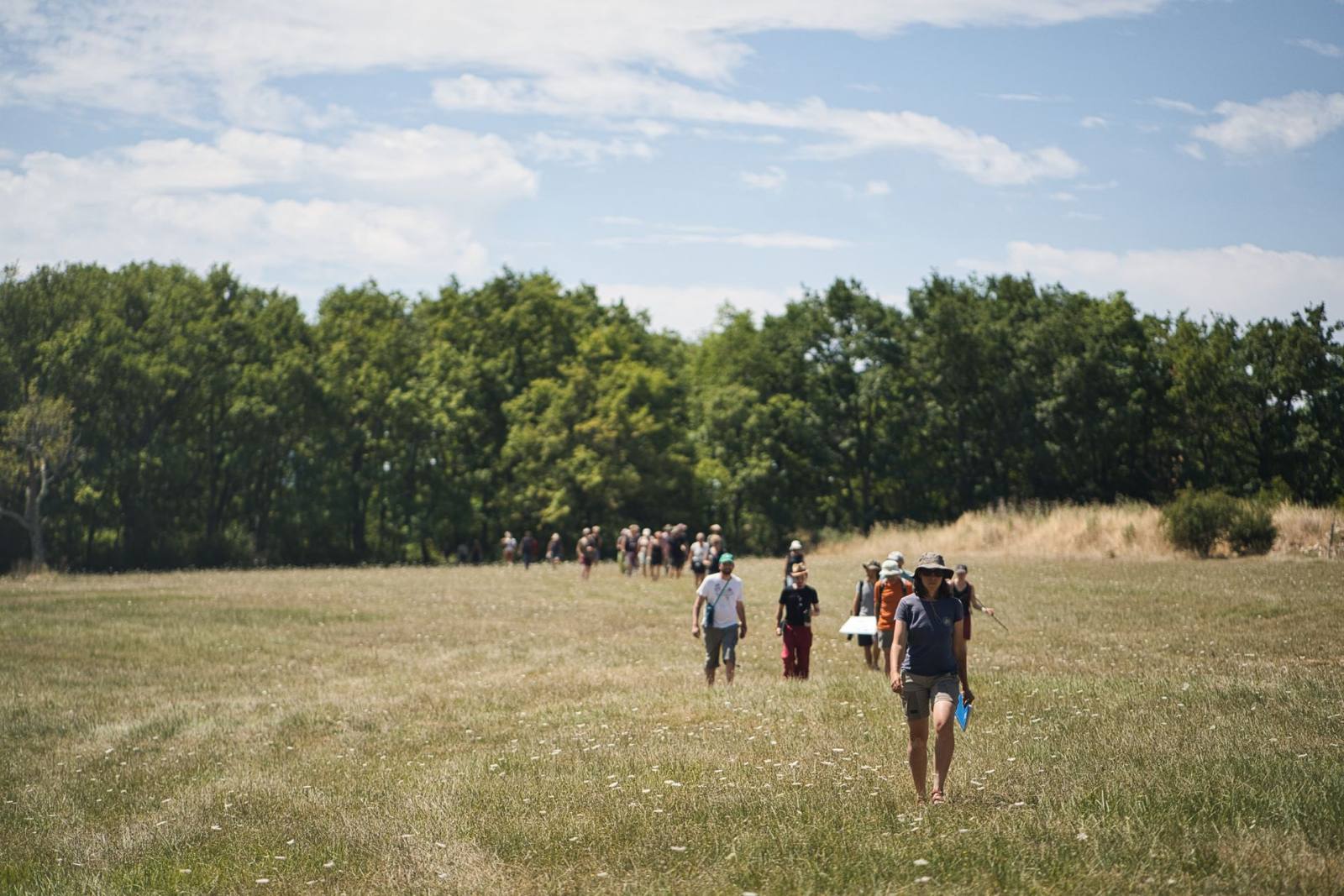 Groupe marchant dans une grande prairie en lisière de forêt