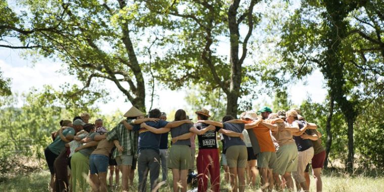 Stagiaires réunis en cercle sous les arbres aux Alvéoles
