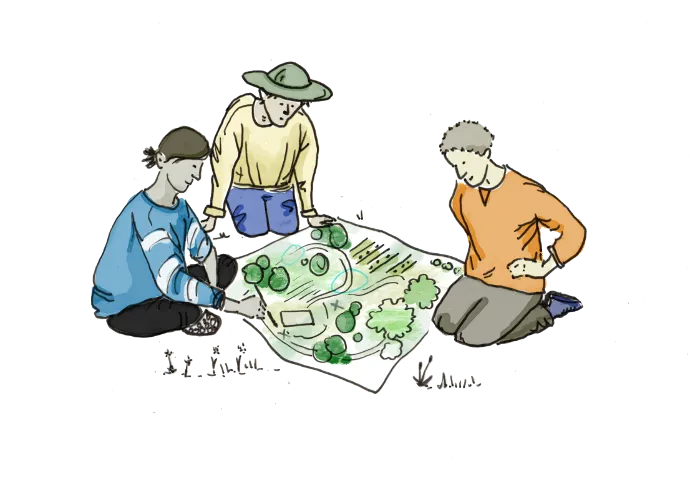 Cours en ligne : potager en permaculture – Les Alvéoles