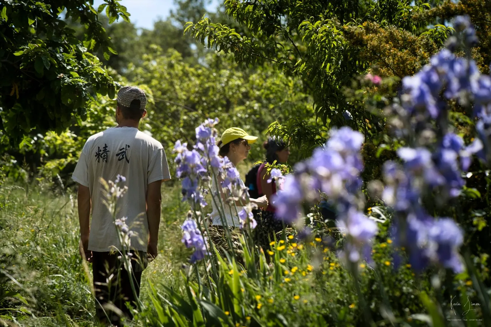 Participant au milieu des iris dans le jardin