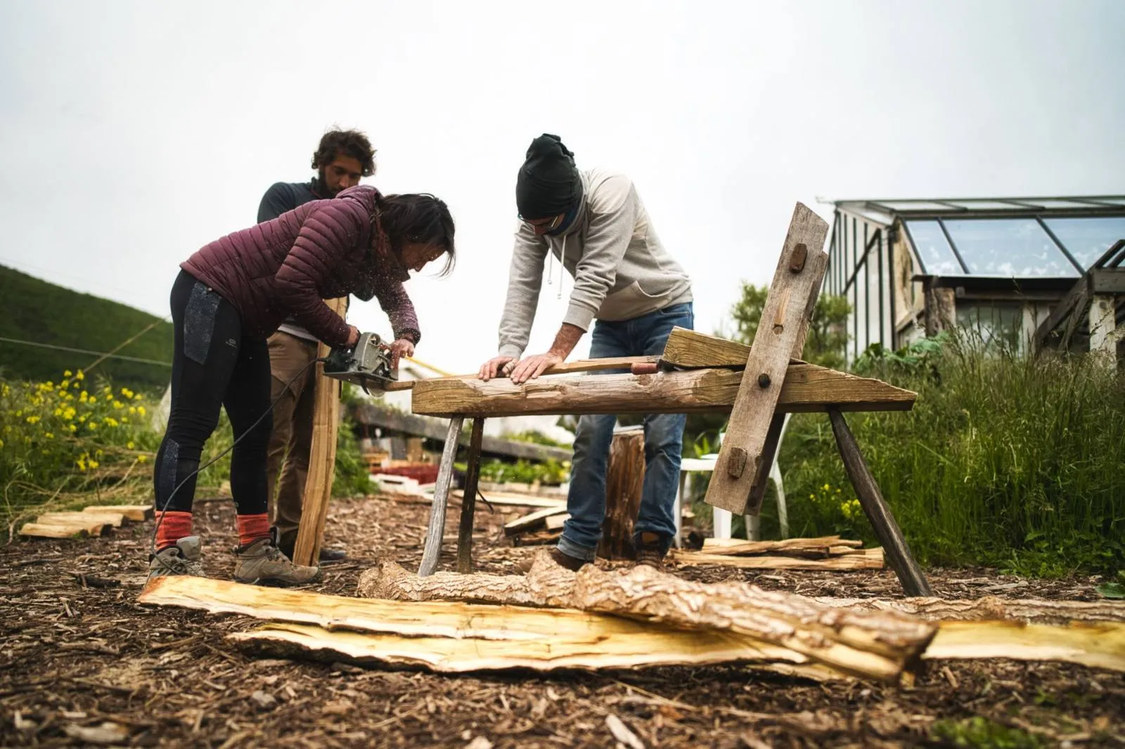Stagiaires construisant une structure en bois