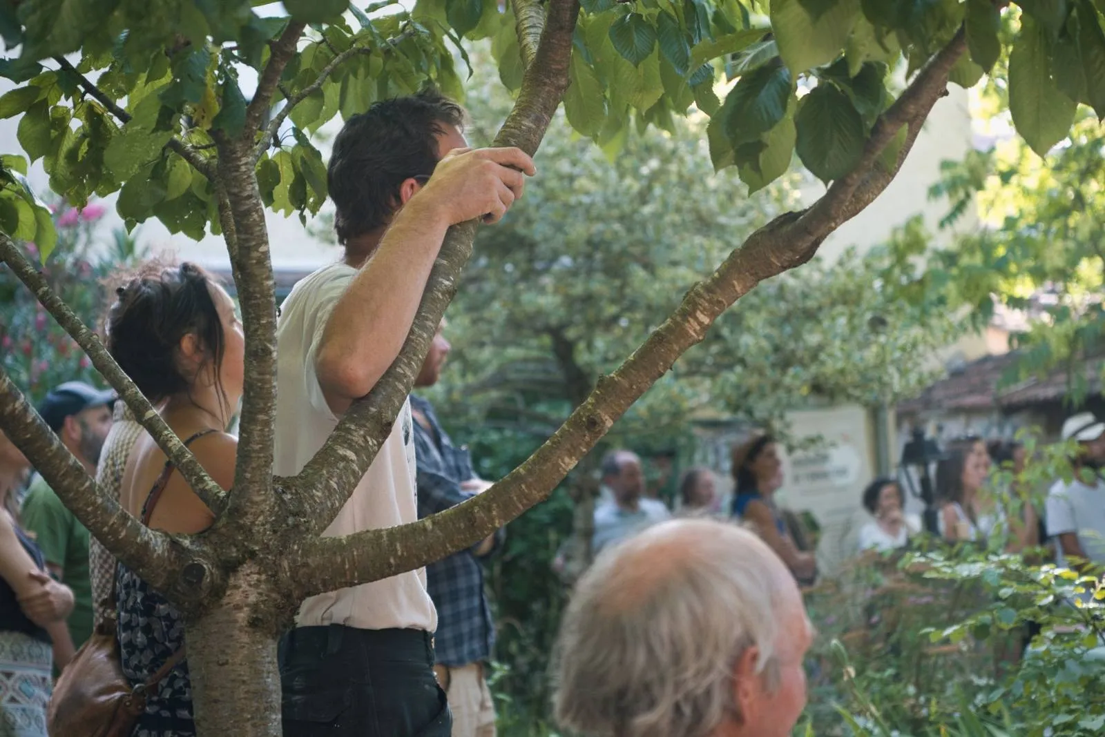 Fête dans la cour