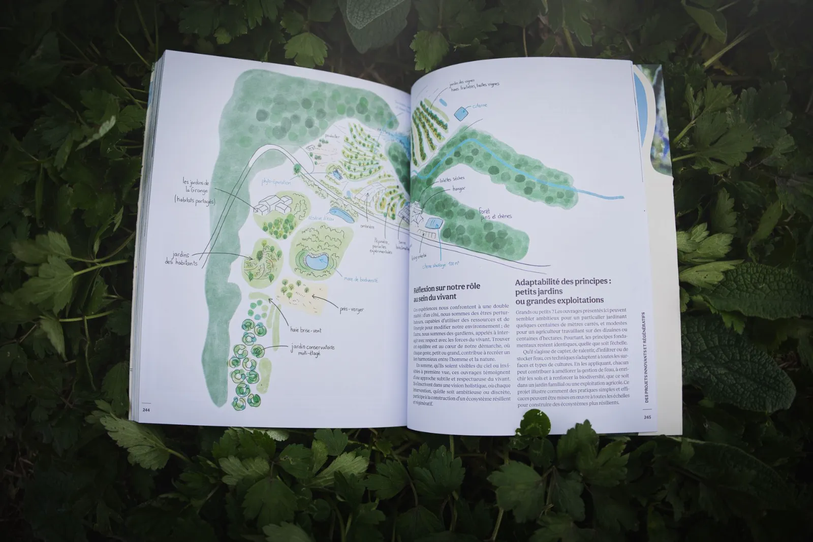 Livre « Cultiver l'eau douce » – Les Alvéoles