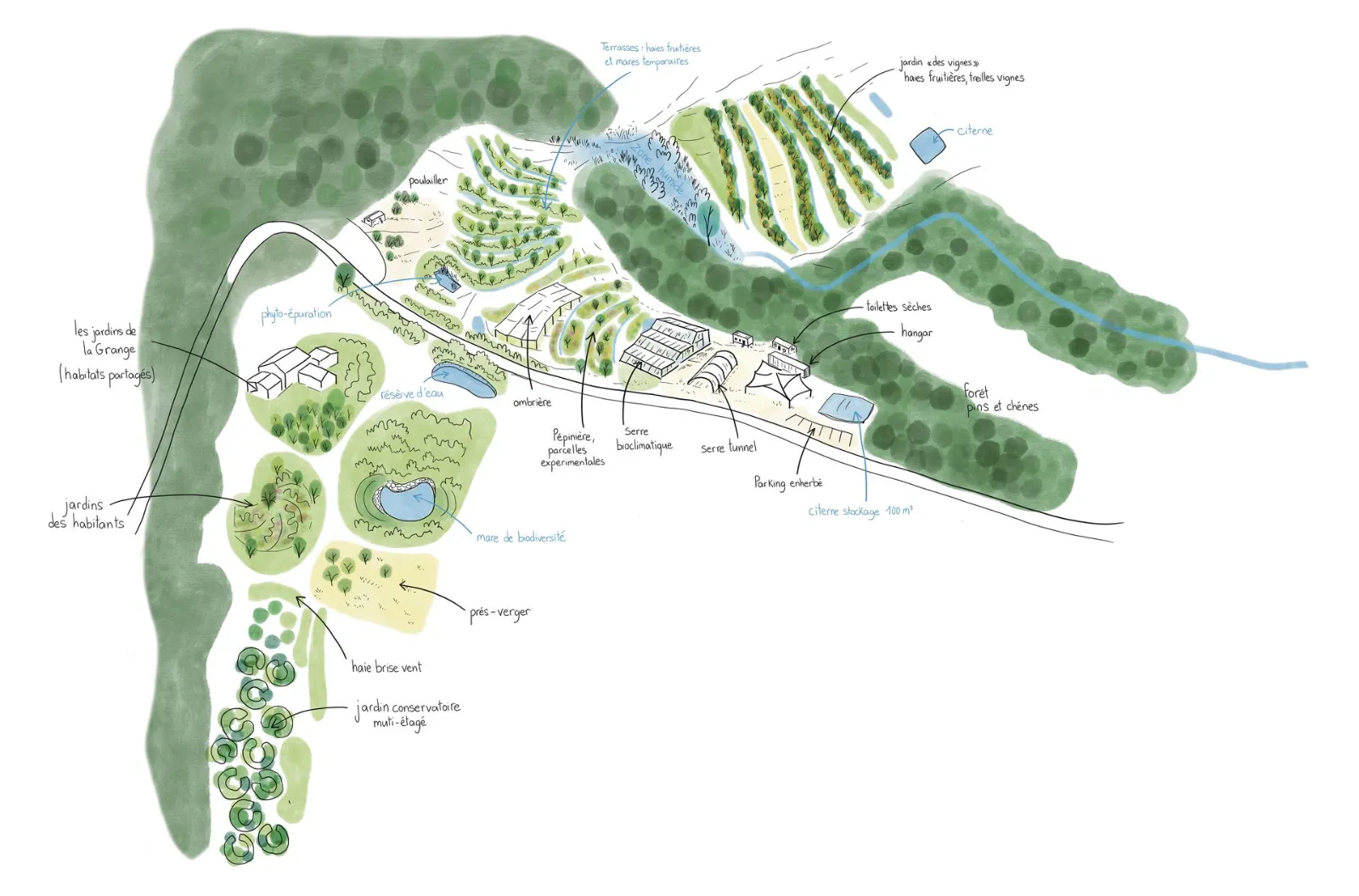 Plan de design d'un jardin en permaculture