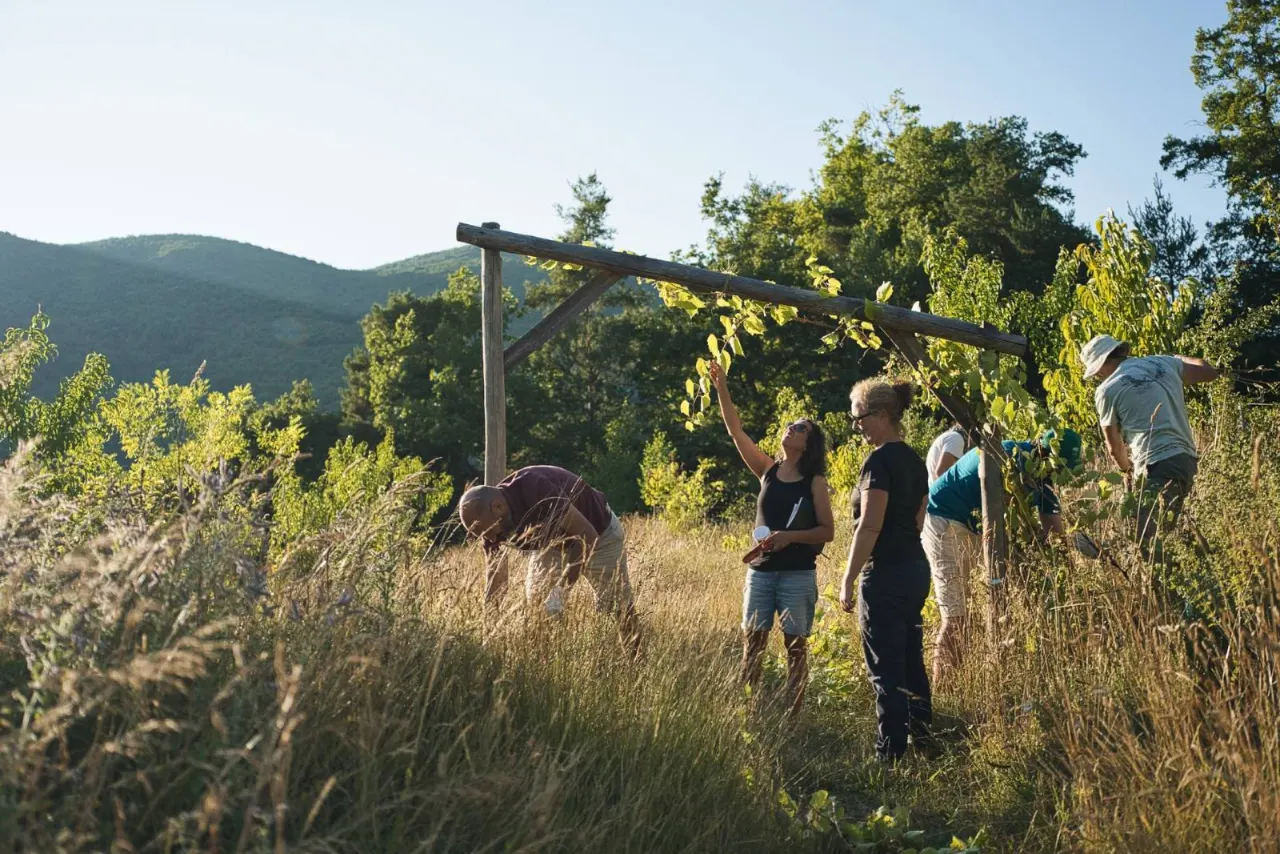 Groupe observant le paysage dans une prairie