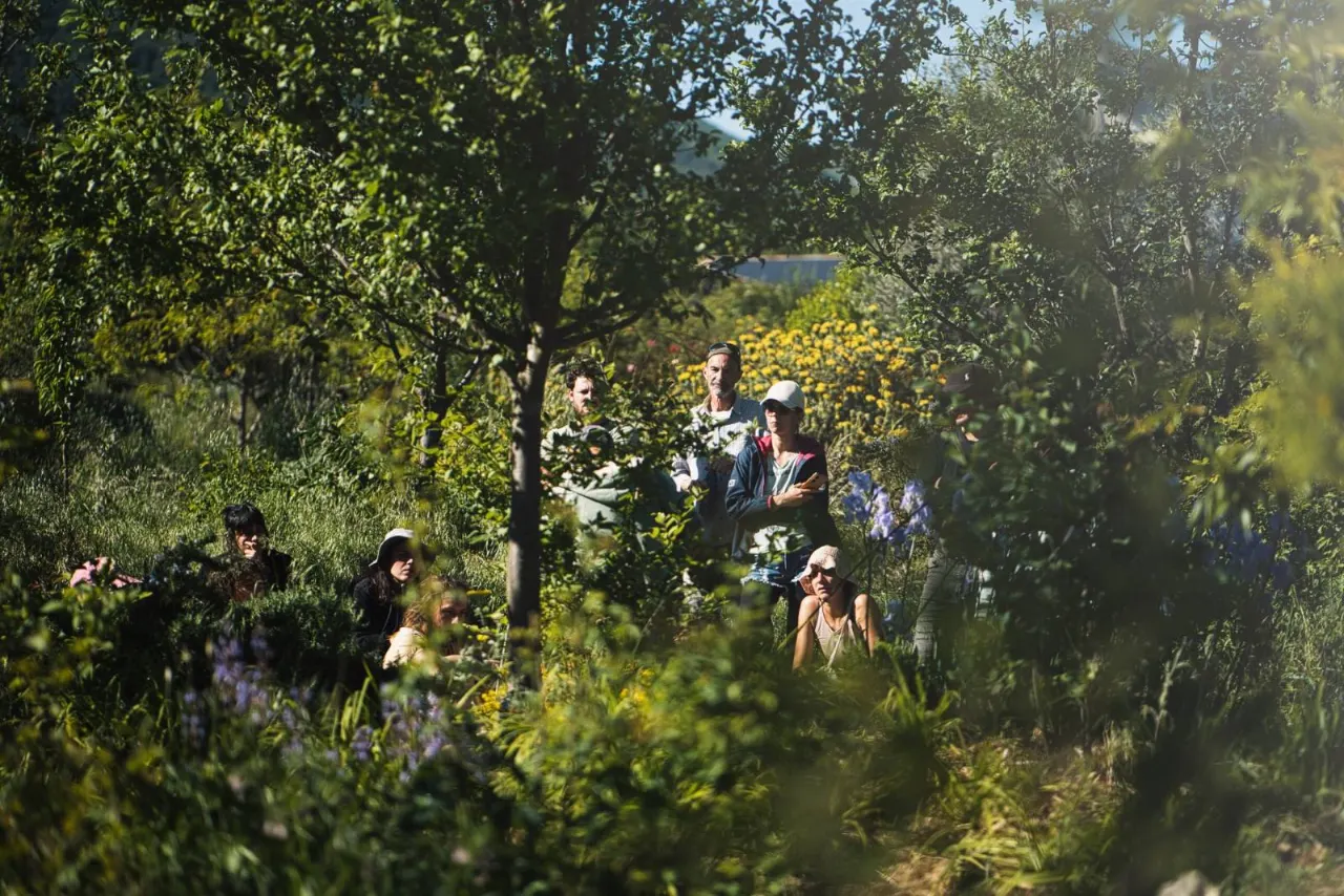 Groupe en visite au cœur d'un jardin-forêt dense