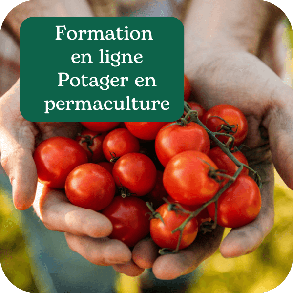 ormation en ligne : Potager en permaculture  Démarrer son potager à la sauce permacole - TARIF : 347 € Un cours complet sur la mise en place et le développement d’un potager en permaculture. Un pack de leçons constitué de vidéos, fiches pratiques et guides d’associations de plantes pour un potager diversifié et abondant toute l'année ! 