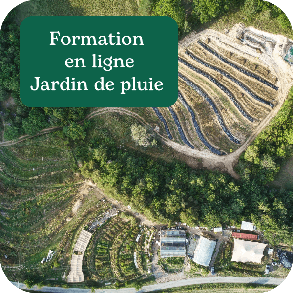 Formation en ligne : Cultiver l'eau dans son jardin de pluie ! Créez un jardin de pluie et participez au cycle de l'eau verte à votre échelle - TARIF 347€  Eau verte, hydrologie régénérative, permaculture,... On vulgarise les concepts et on vous donne du concret pour hydrater vos jardins et créer un jardin de pluie. Après 10 années d'expérimentations à la pépinière des Alvéoles, nous sommes fières de pouvoir vous partager nos connaissances pour réhydrater vos paysages !