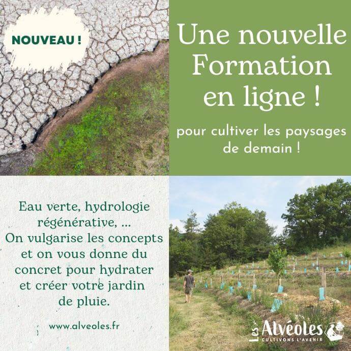 Formation en ligne : Cultiver l'eau dans son jardin de pluie ! Créez un jardin de pluie et participez au cycle de l'eau verte à votre échelle - TARIF 347€  Eau verte, hydrologie régénérative, permaculture,... On vulgarise les concepts et on vous donne du concret pour hydrater vos jardins et créer un jardin de pluie. Après 10 années d'expérimentations à la pépinière des Alvéoles, nous sommes fières de pouvoir vous partager nos connaissances pour réhydrater vos paysages !