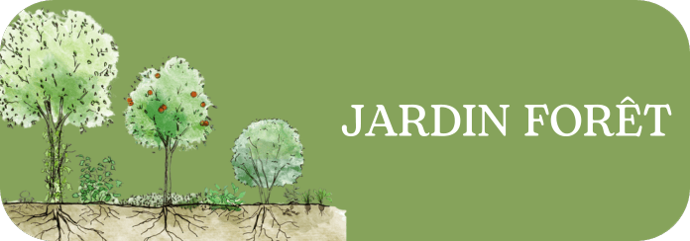 Masterclass jardin foret aux alveoles