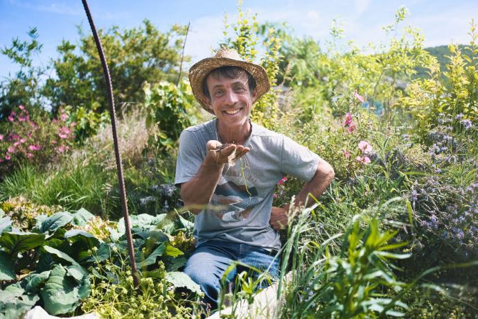 tout comprendre au concept de jardin foret avant de vous lancer !