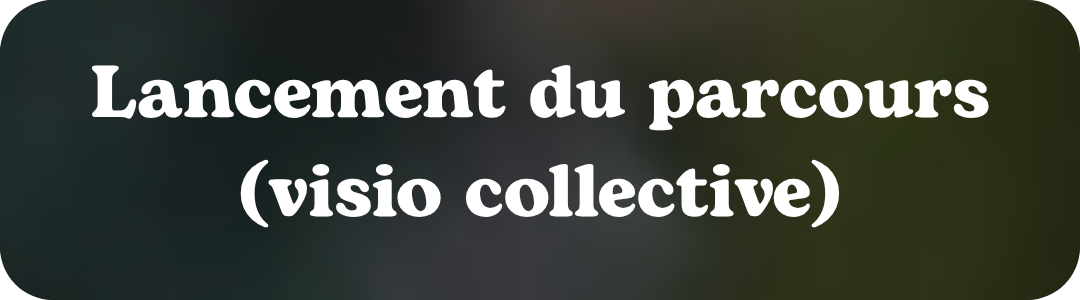 Lancement du parcours (visio collective)