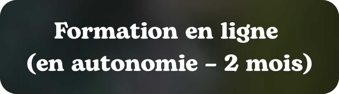 Formation en ligne (en autonomie – environ 2 mois)
