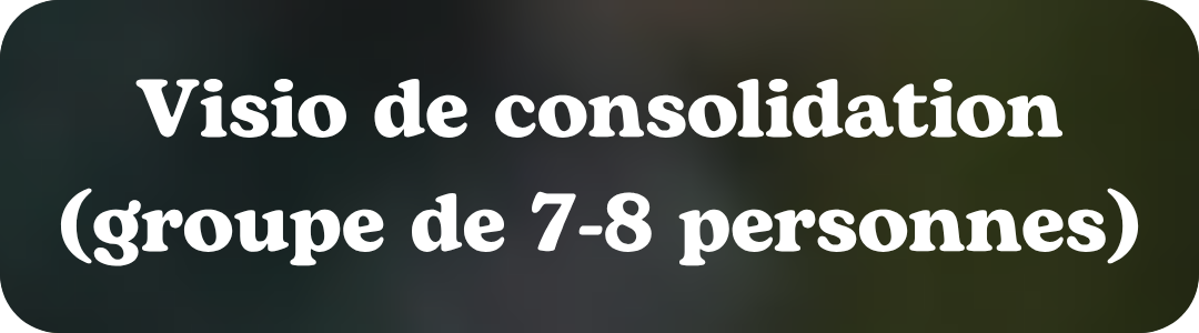 Visio de consolidation (groupe de 7-8 personnes)