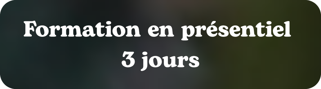 Formation en présentiel – 3 jours