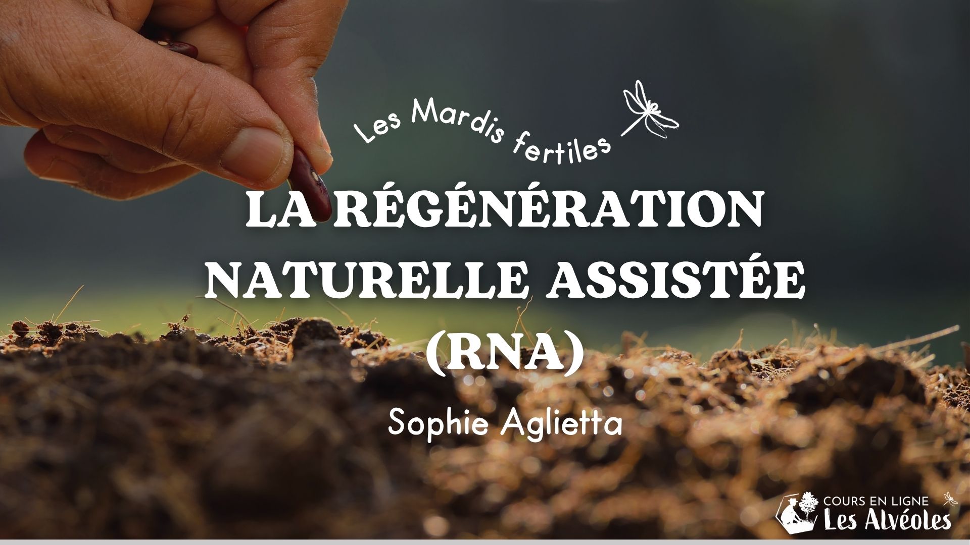 Mardi Fertile : Régénération Naturelle Assistée (RNA)