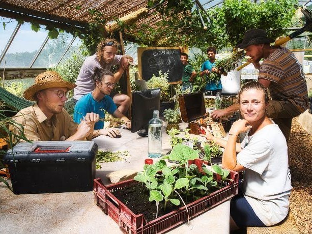 Bienvenue à l'école pratique des paysages de demain ! Ce compagnonnage d'une durée de 9 à 12 mois est une opportunité unique de s’immerger, de pratiquer et d’intégrer les fondamentaux transmis lors du Cours Certifié de Design en Permaculture. Ici, vous apprendrez à designer les paysages régénératifs de demain ! 