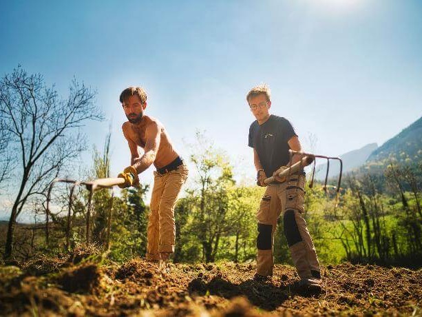 Les Permacamps, les chantiers d’été de la Pépinière des Alvéoles sont animés par l’équipe des Alvéoles (Antoine Talin, François Goldin, etc…).  Ils sont gratuits et se situent sur les sites des Jardins conservatoires des Alvéoles ; notamment au Jardin des Vignes.  L’occasion de se reconnecter à la nature et de contribuer à un projet permacole porteur de sens :) ! 
