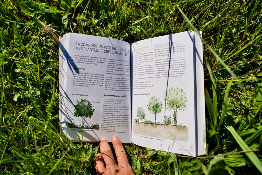 Livre « Forêt comestible et haie fruitière » - Antoine Talin– Editions Ulmer