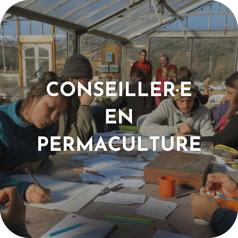 Formation Longue - Conseiller/Designer en permaculture