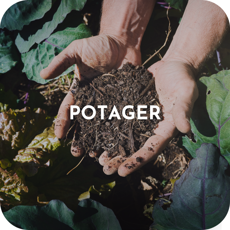 Formation Potager permacole