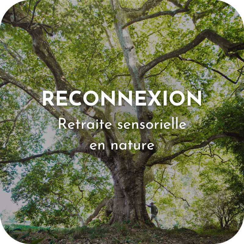 Stage Reconnexion - Retraite sensorielle