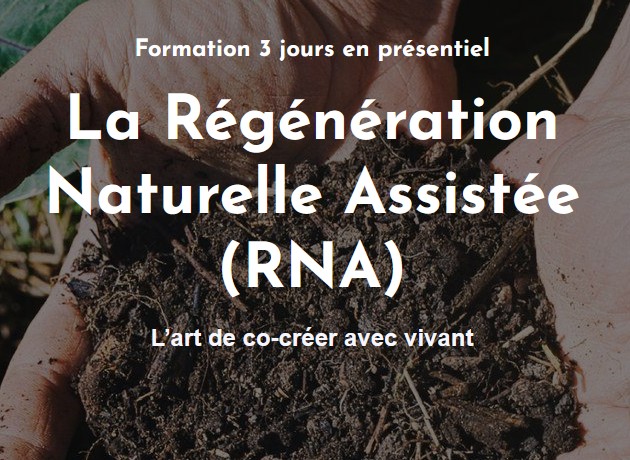 Formation RNA