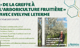 Cycle de cours « De la greffe à l’arboriculture fruitière » avec Evelyne Leterme
