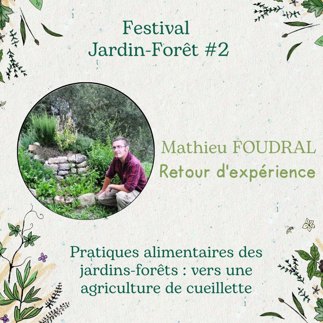 Pratiques alimentaires des Jardins Forêts: vers une agriculture cueillette! avec Mathieu FOUDRAL