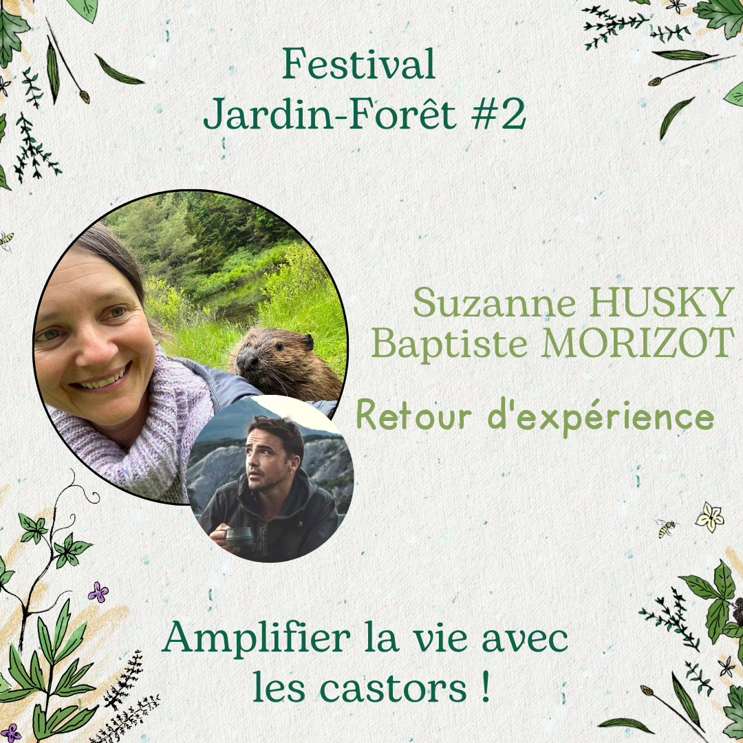 Amplifier la vie avec  les castors ! avec Suzanne HUSKY et Baptiste MORIZOT